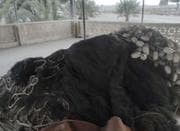 تور محاصره ای
