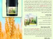 فروش کود گندم و جو شوک پلاس اصل و اورجینال