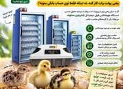 فروش چکی دستگاه جوجه کشی خانگی غاز دماوند( دی کیو شاپ )