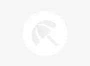 فروش مرغ عشق